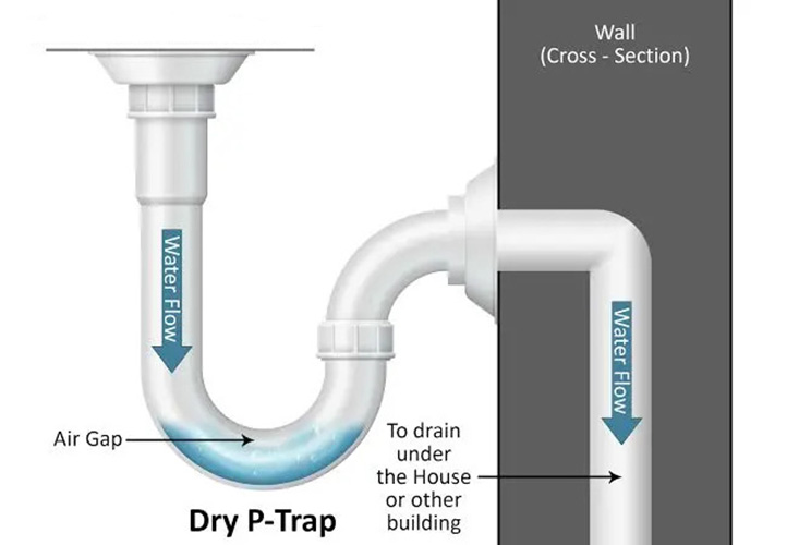 Toilet Dry P trap