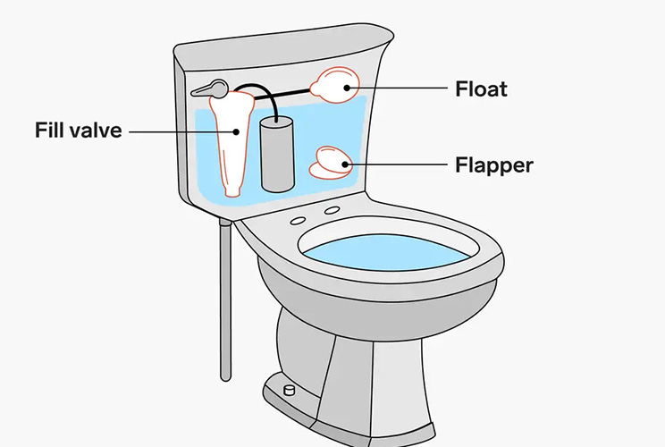 Why Does My Toilet Not Flush Properly - Malfunctioning Flapper Valve