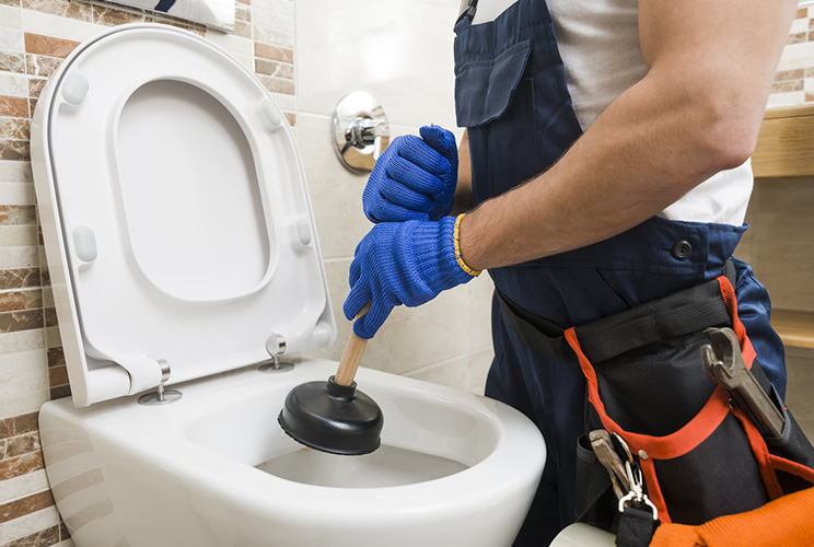 toilet not flushing properly professional plumber