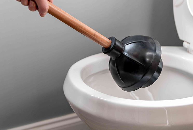 toilet smell - clear clogs and repair traps