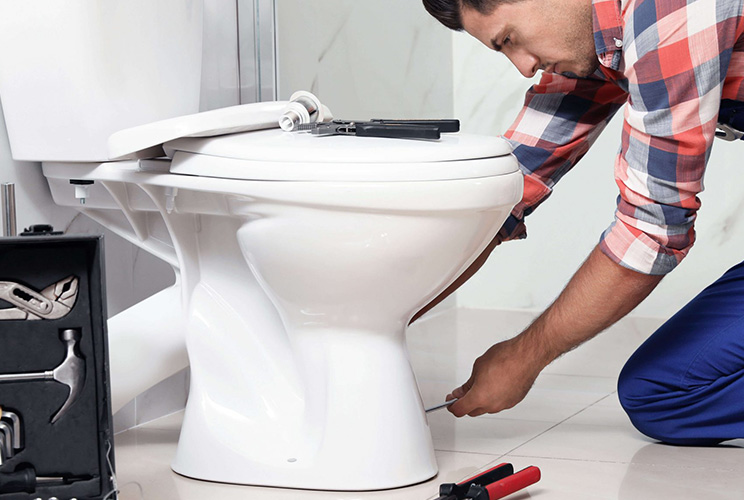 tools to replace a toilet